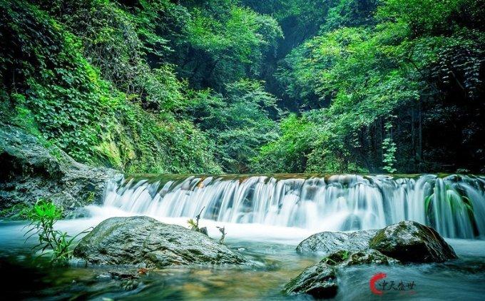披萨找不同